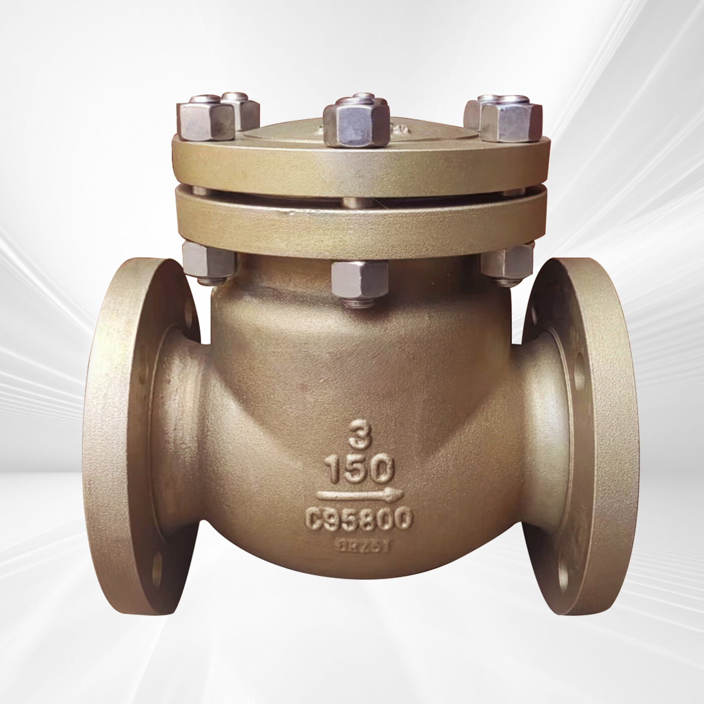 Check Valves